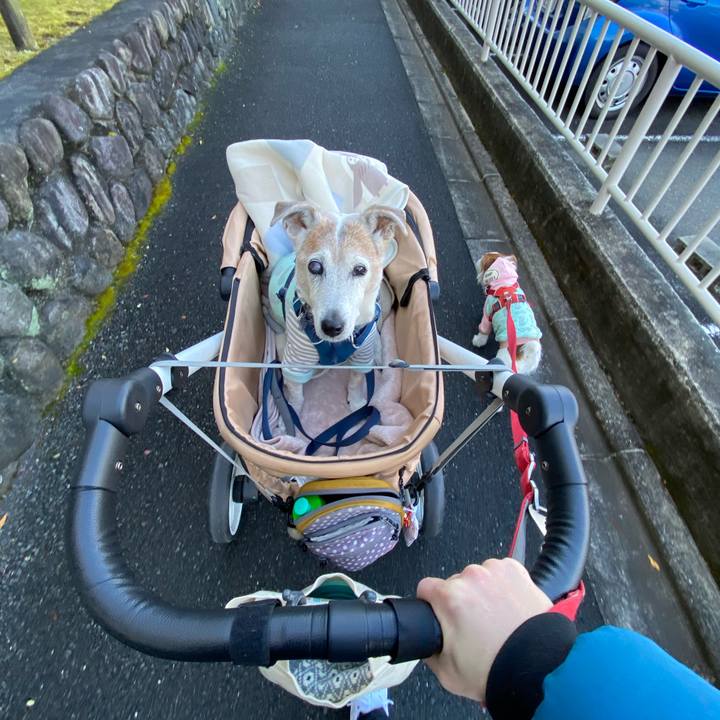 Af0321fc 76e5 4407 9309 0dc13f255775 1673145391813