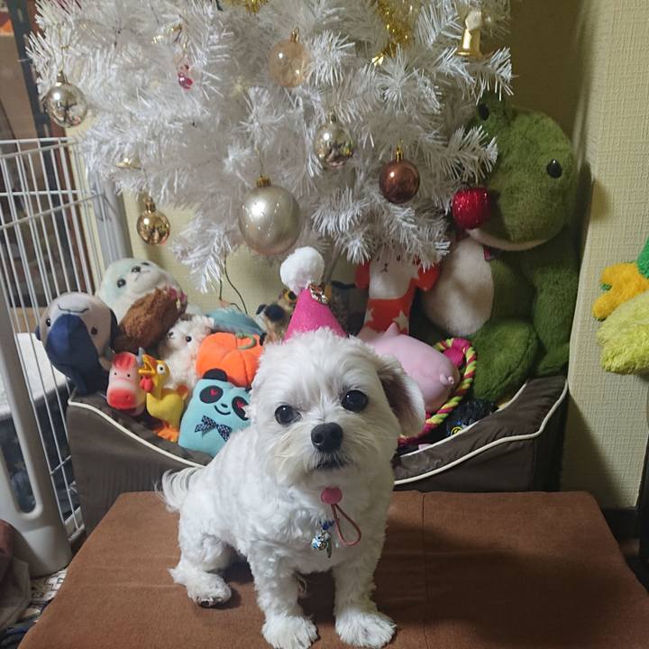 Af034602 bd19 4af8 bb2b e1541b355f69 1668172331140