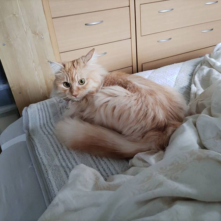 Af036d7f e33b 4961 9379 89acc8ace5a9 1717396643946