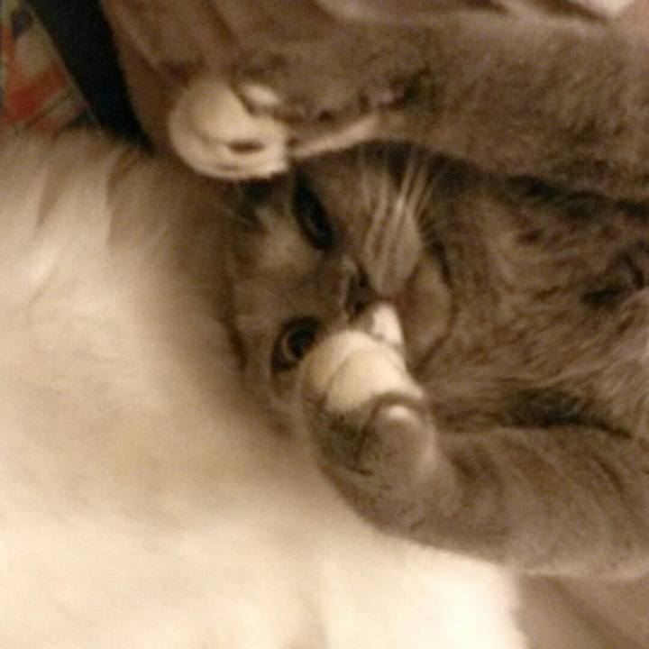 Af03a2bc 14c3 463a 8dba 372fcef04d22 1581912019952