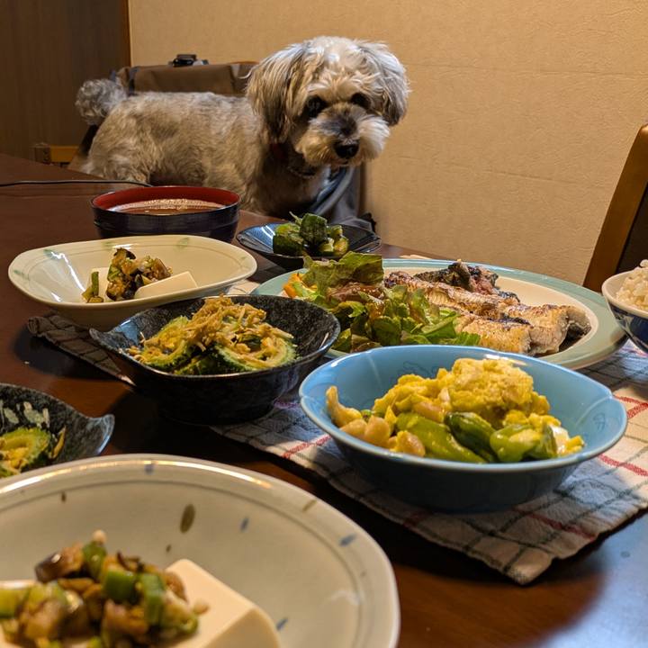 Af04211f c841 41a1 9d30 2023fd649550 1753968401117