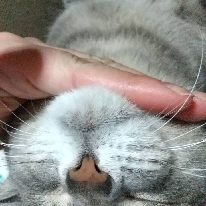 Af0424b7 2f5e 4415 be69 aead94f54f29 1616244900029