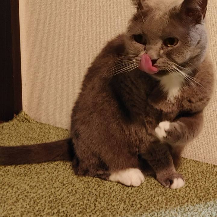 Af04b699 efbe 4067 a592 407d87c5531d 1641618928371