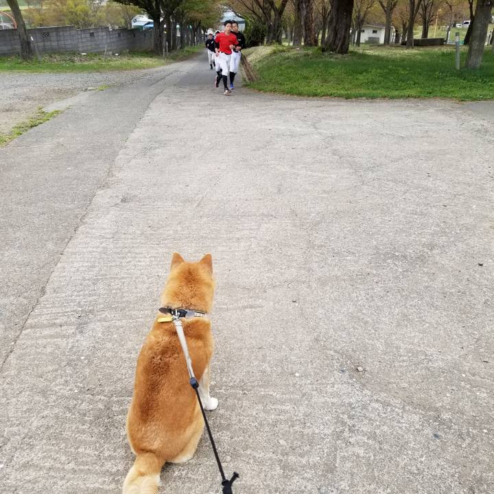 Af04c45a 689e 4eef 8bc3 a7fdbc2feb63 1619313231477