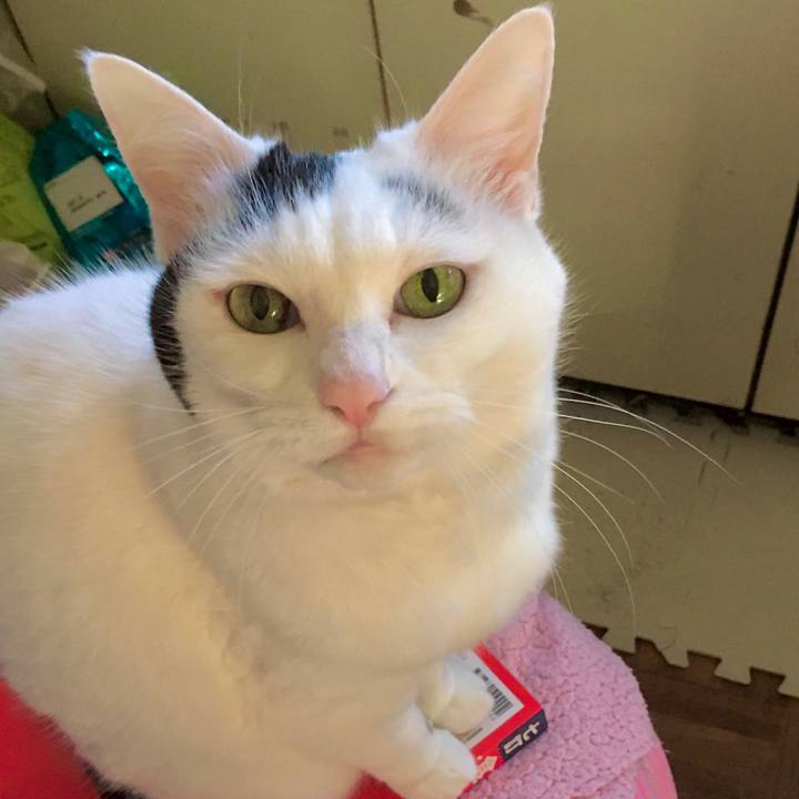 Af05066e 6c35 4132 b5b8 1c646061c2b3 1610264676928