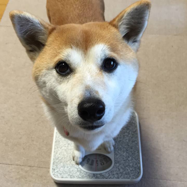 Af051ae3 724c 4d3a 9cc1 525c9189440b 1517016669740