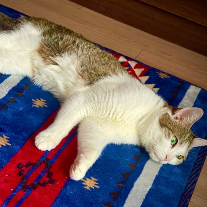 Af051edc 8294 43b8 af64 3de10aa0db74 1627117768772