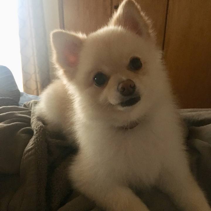 Af0523f5 cf44 4f76 8b28 bcadcd024453 1532815336284