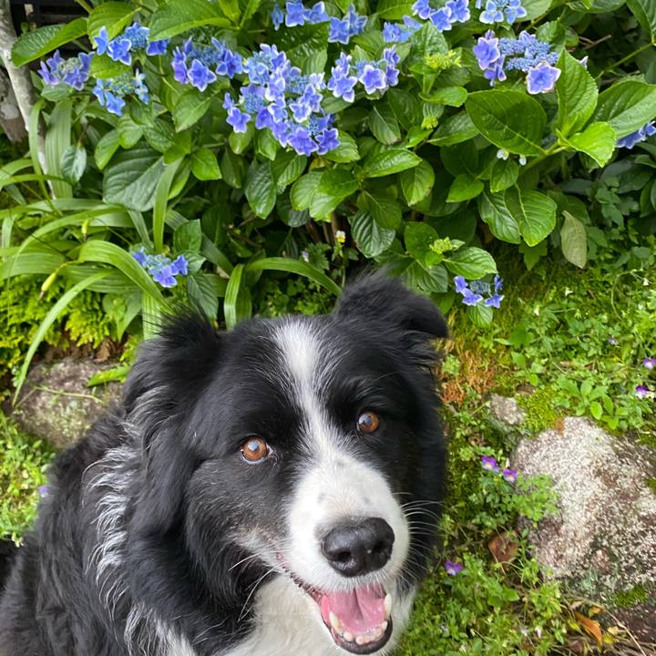 Af0528c1 5c89 4f61 b8b0 7aa174bd6b9b 1622800679205