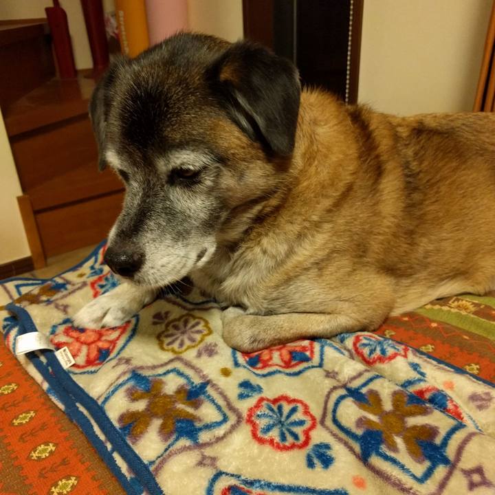 Af054f20 ff9c 4b82 b039 78dce16713ce 1538816144947