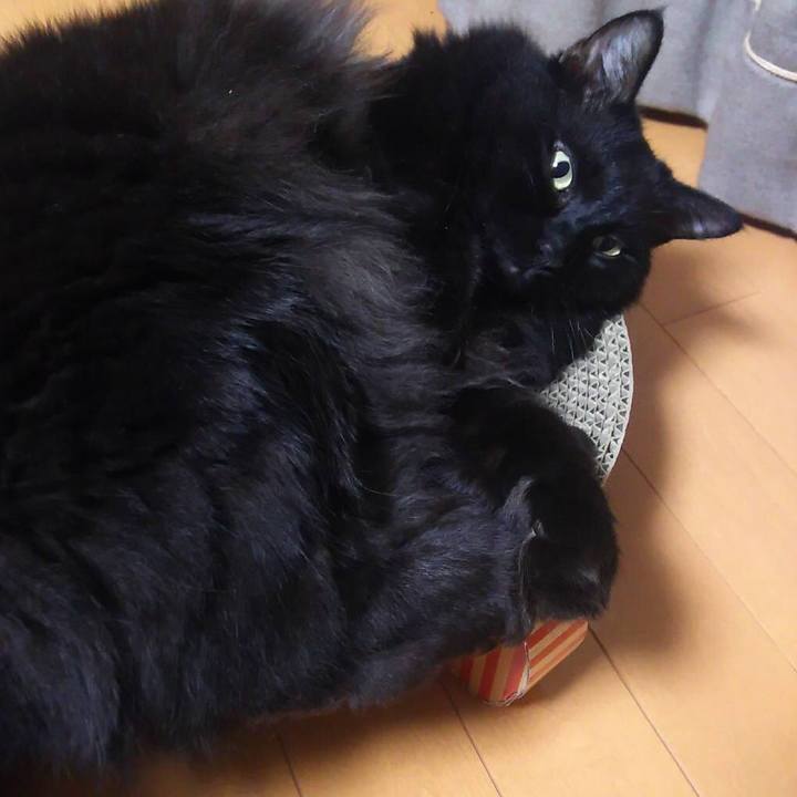 Af055141 a344 4756 83bb 7c08b5b86fd2 1536843858253