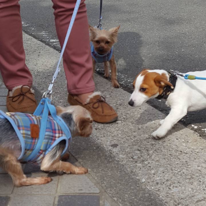 Af0566ff 9eaa 4536 99ea f6c433c3795c 1552185317156