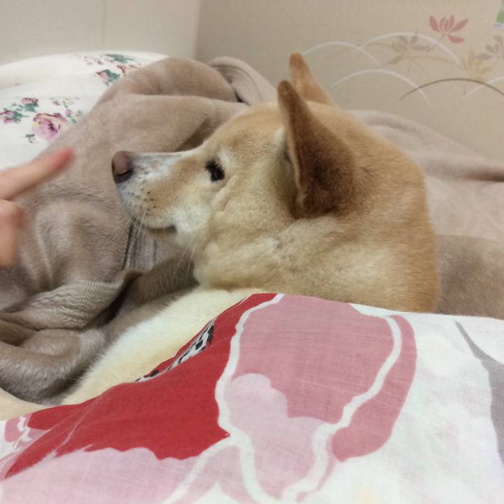 Af057e2c 9ee8 484d a3ba 3f5b54b72592 1547123627524