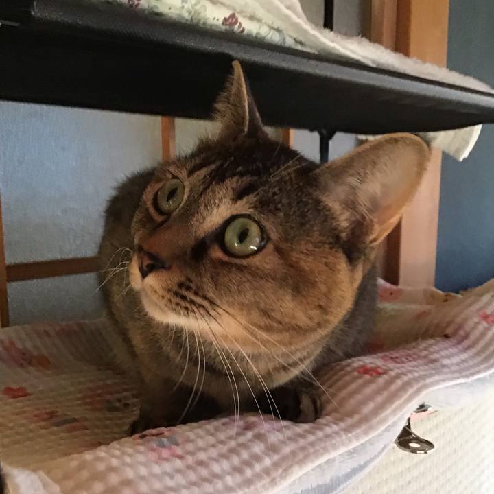 Af058693 475e 44c4 86e3 01fbbf1480c6 1635579682479