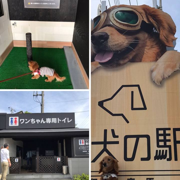 Af05a2ce 0fd1 4f3c acf9 1c70720da481 1556844690288