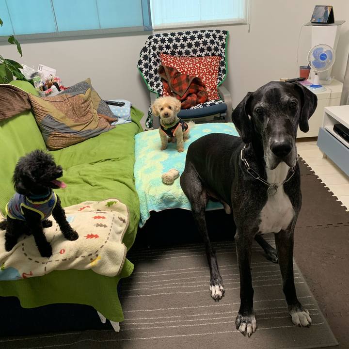 Af05d084 b7a6 4869 b051 1877f1033dcc 1591830847720