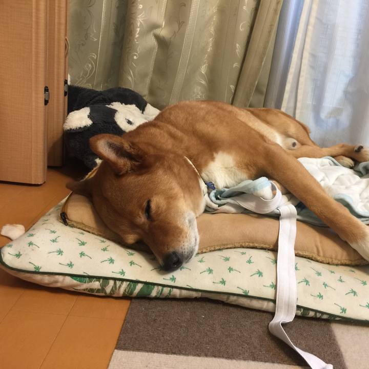 Af05d755 e31c 485c 8413 8f175d40317a 1586185807570