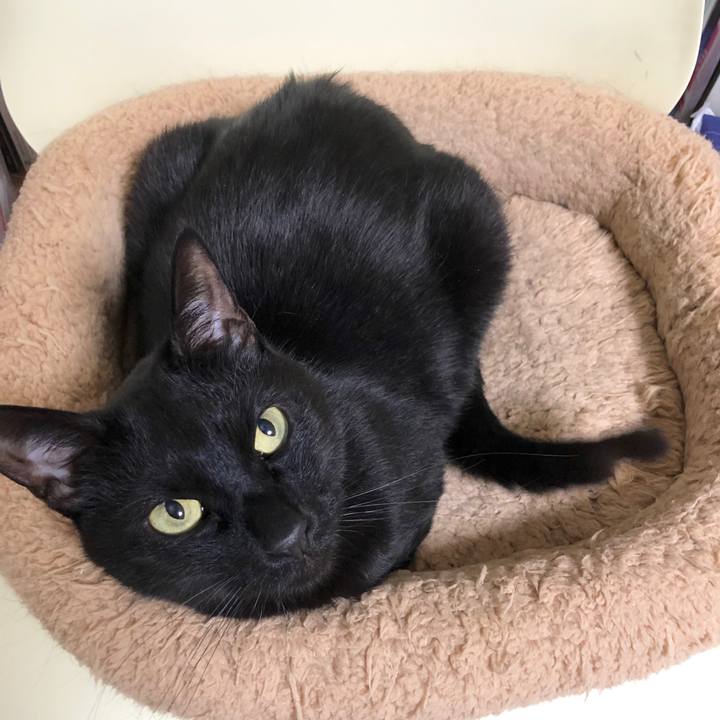 Af05e6d6 13de 4676 9ebc 270948d90674 1587823466447