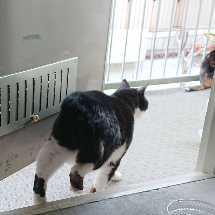 Af061b50 40b1 4a64 b9f6 fbca5d3e1243 1581730369259