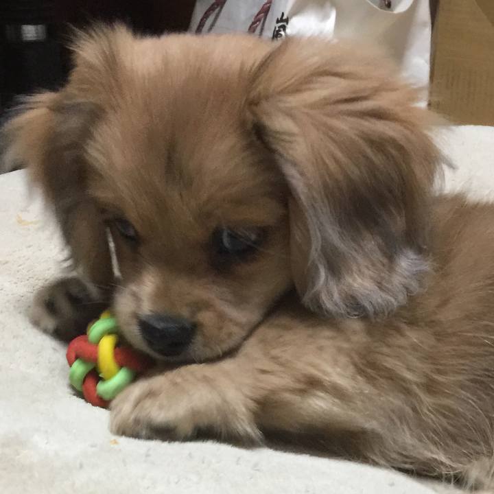 Af064247 0379 4309 8aec 0bb130f2ebe7 1536528423400