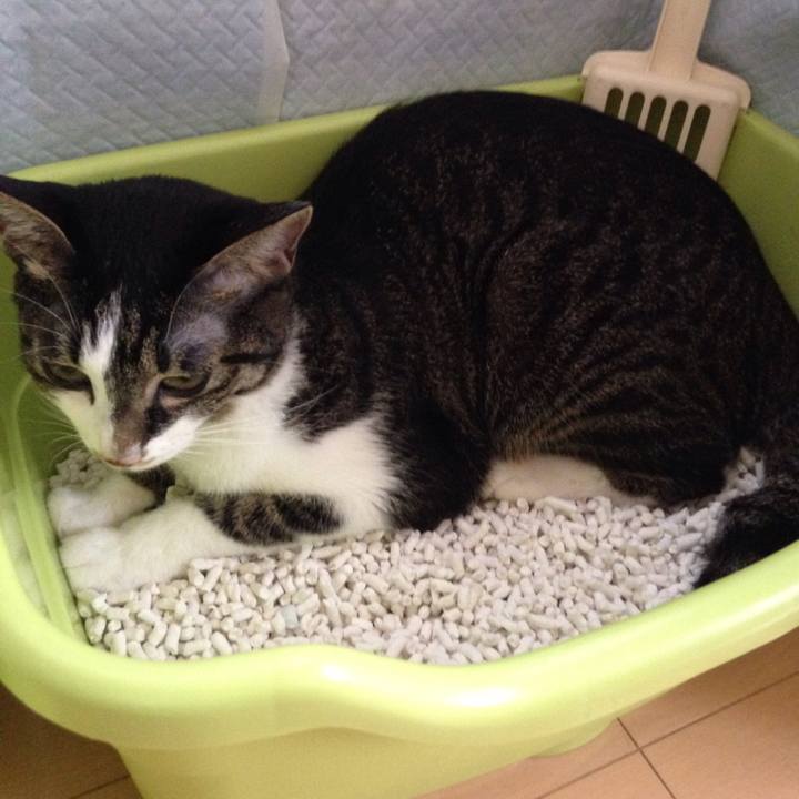 Af068629 d6dd 43e8 a4aa c17636f3bb0b 1508733947340