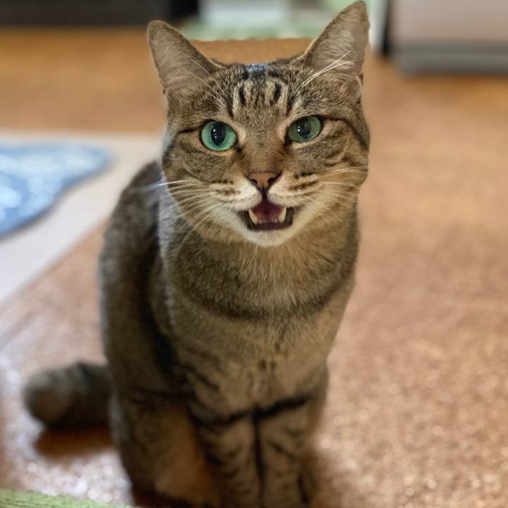 Af068a21 cd59 4a6e b54e 833e743d2527 1561624037494