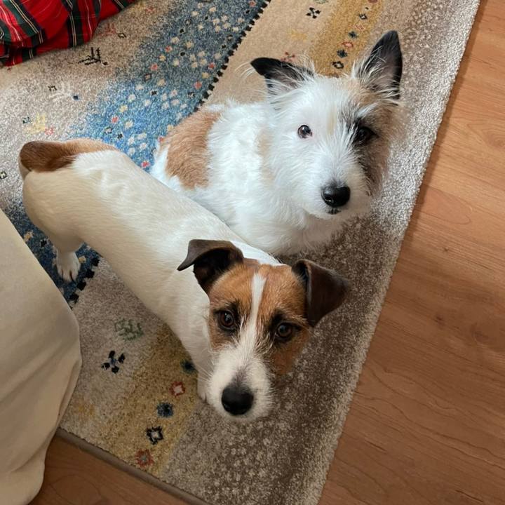 Af069941 74cc 4318 937e 0a45b1048299 1675767340349