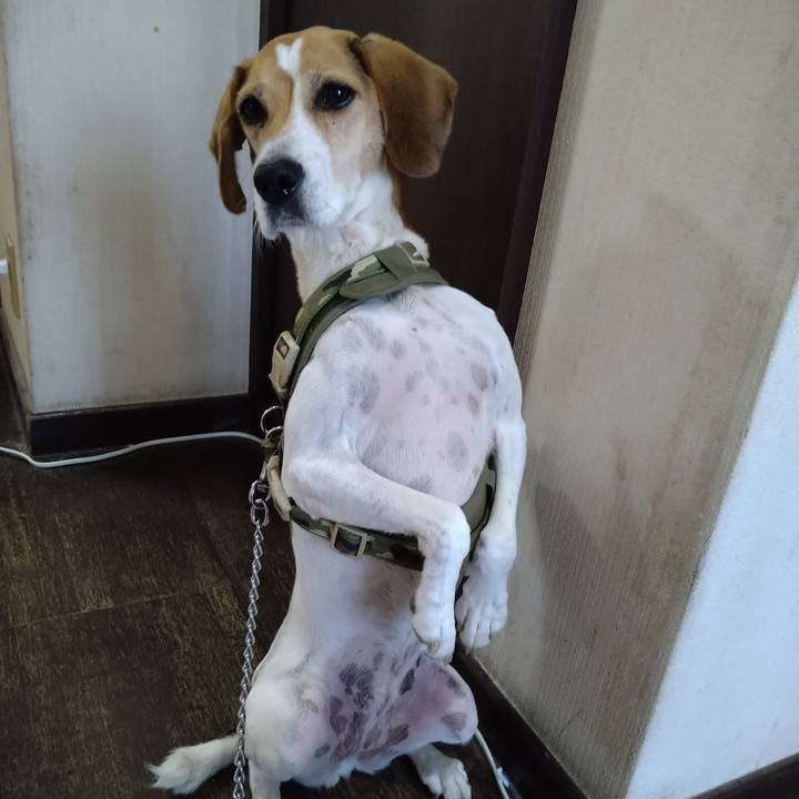 Af069ff3 7657 4c86 9d96 beedf7f757f8 1666335829986