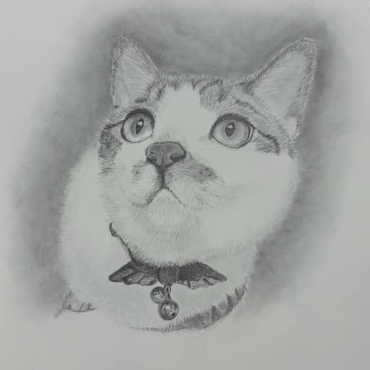 Af06acb3 2310 47dd 91a5 18f4255a57a9 1769669816575