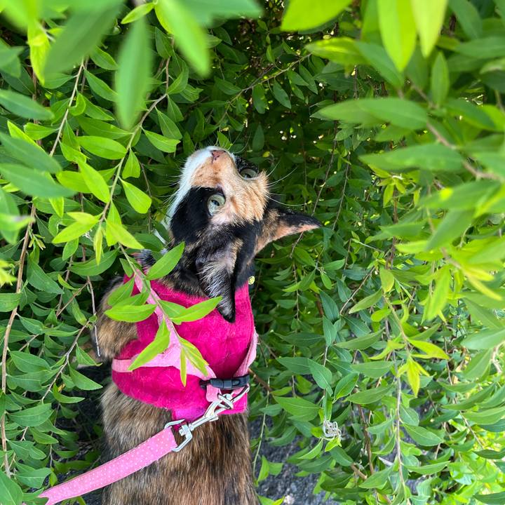 Af07003f f6af 484c a066 5aadf82d1c8b 1687351914252