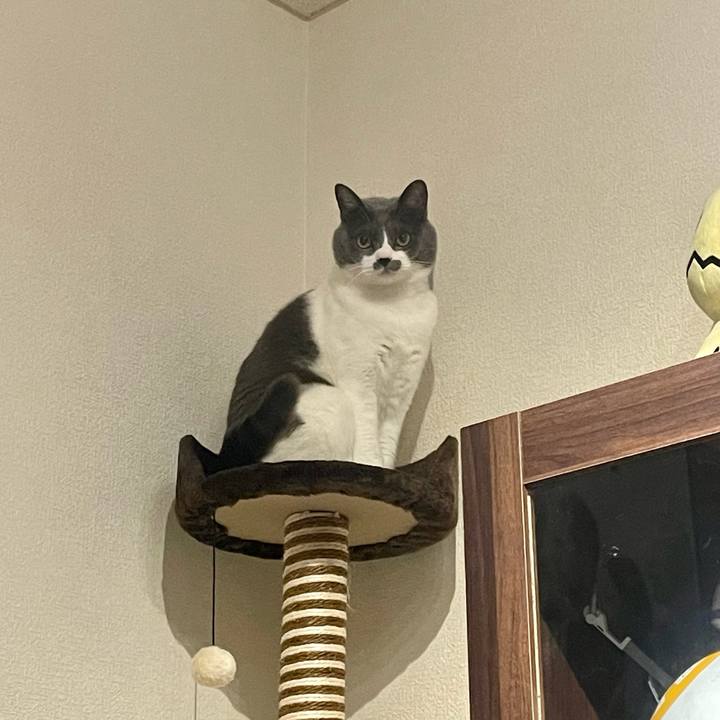 Af0704b8 ad46 49c1 b800 e5c3019cdd56 1672845832051