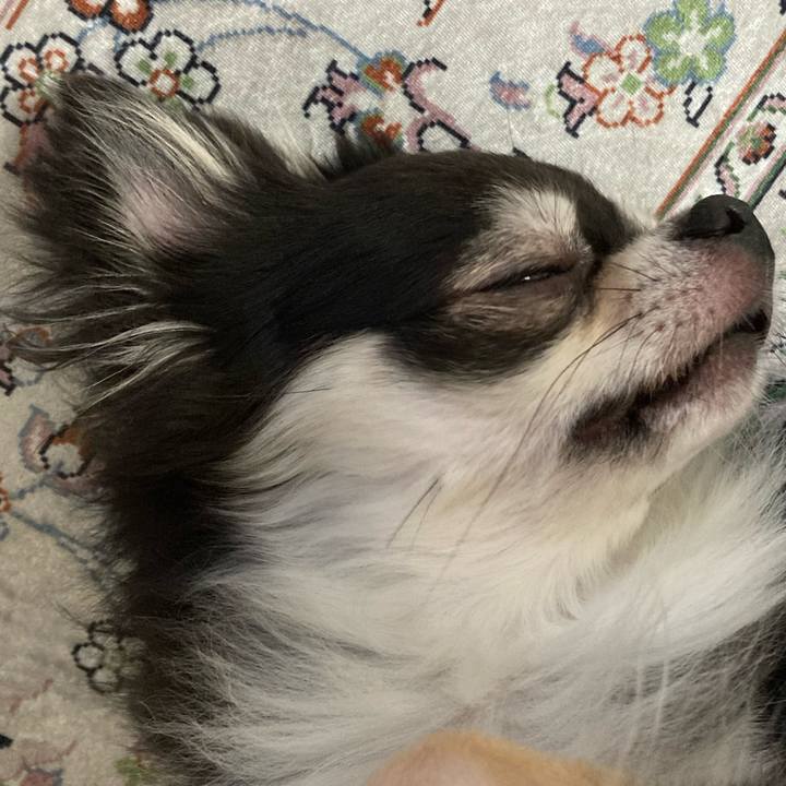 Af070a70 e89c 4b03 95f1 f294eaea60f7 1661675290217