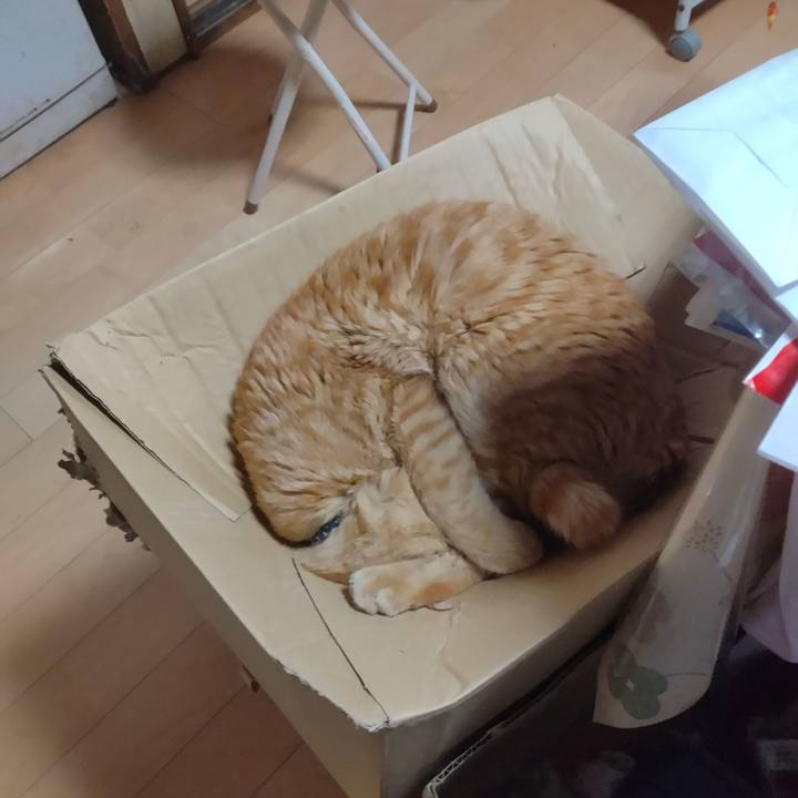 Af070e31 6afa 4c35 b724 eb317f029eda 1679870802235