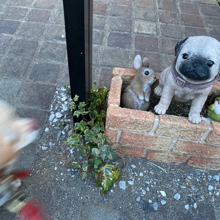 Af071233 a5b0 47b5 92a9 4ae6033a73a4 1647303562844