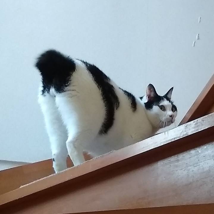 Af072cc7 3fc2 493c b042 ffa772603a21 1562673922265