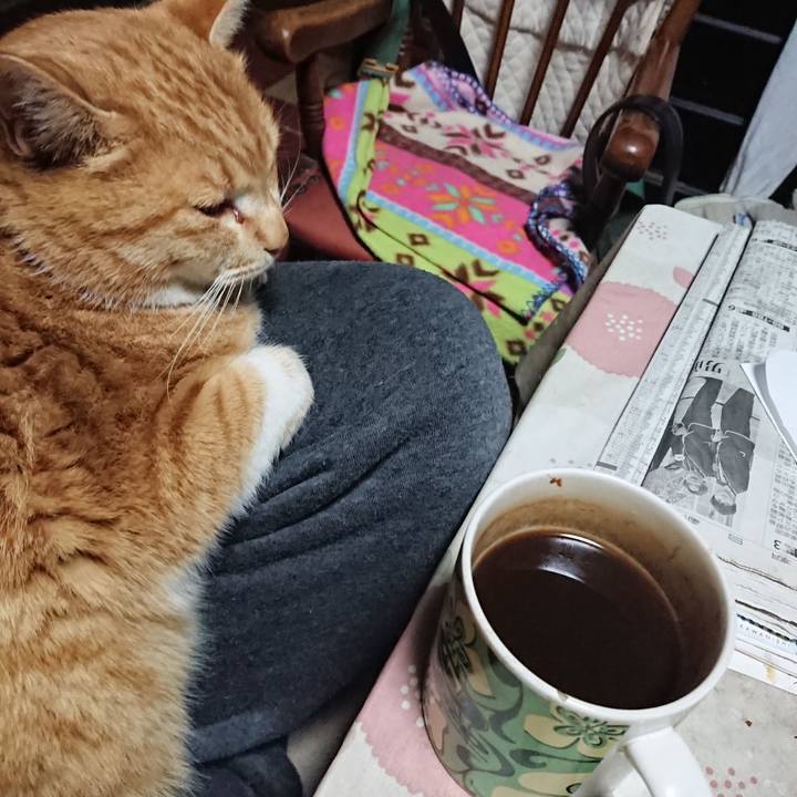 Af073ade 62d0 4163 9aa7 ea4bb7b2b5ef 1579290872524