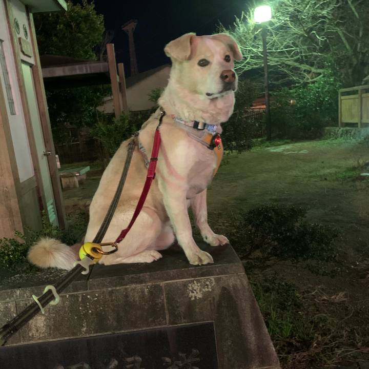 Af074fa1 9d52 4dd0 a615 455f5b5e14e4 1579614987301