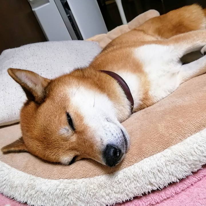 Af079d60 7a7a 4d83 991e 26bd5a08076a 1631886898244