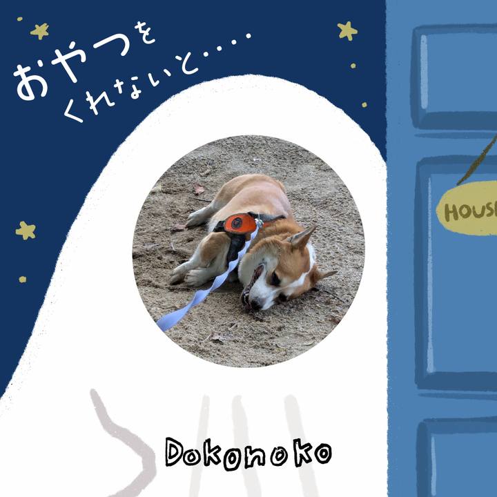 Af07c8c6 a6d7 49ef ab04 091eef0676a0 1729249589082