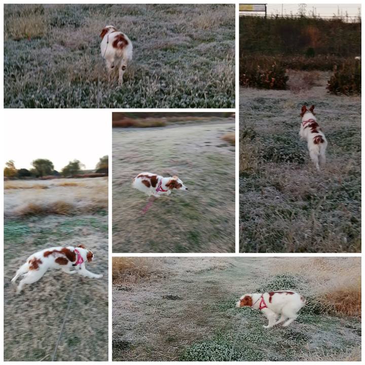 Af07dc29 38bc 420f 8e22 bbfe37063c25 1607297281447