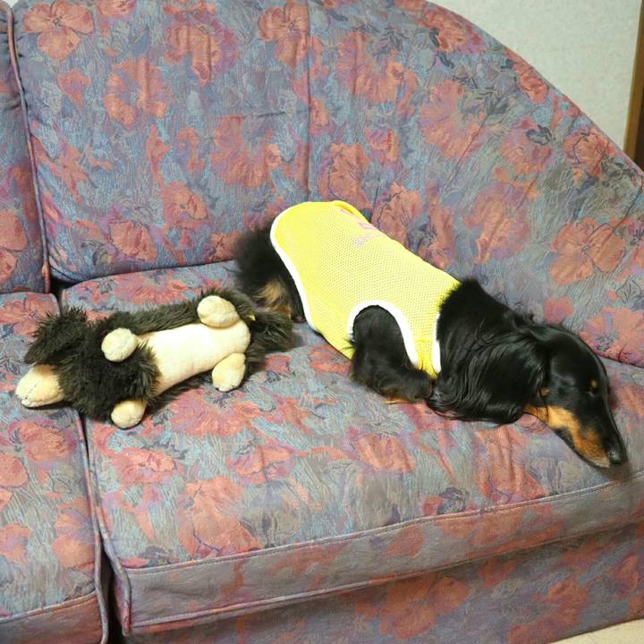 Af080942 3a8c 4e90 a1de 782960309fb5 1532315047351