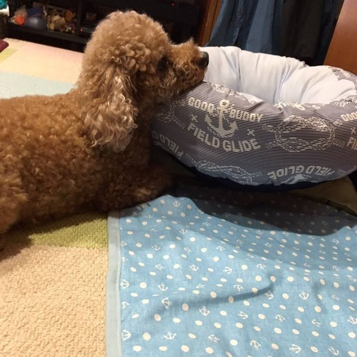 Af0813e9 9725 4e41 b782 2328c4372159 1565182933045