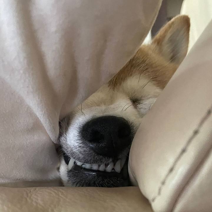 Af08a9e2 af5b 47e9 bf6b c1da85090f3f 1659059436907