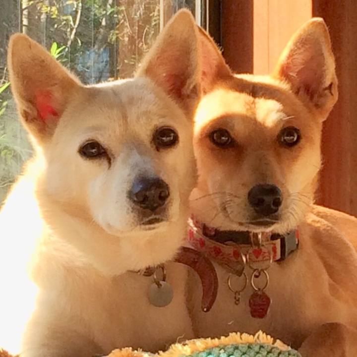 Af08b66e 0447 4d91 a6fd 68dcb235441f 1510366936431