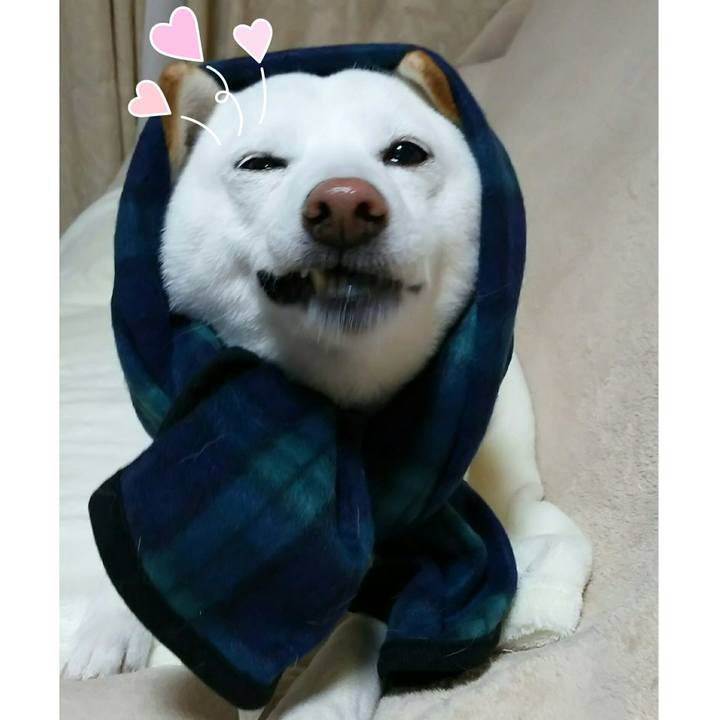 Af08eab2 6c39 48fc b634 951ece64cad7 1518002848248