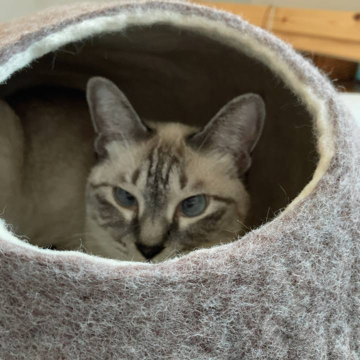 Af08f6a1 5480 406a a6ee f308fd8a4ca2 1691051560407