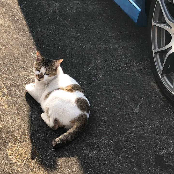 Af08f6f7 4953 4485 9936 f15cd07d7ad1 1541968160241