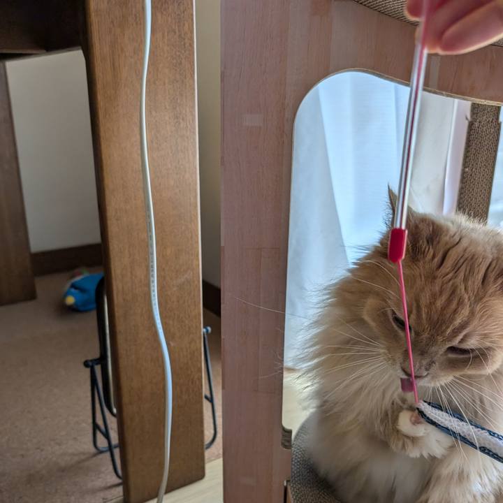 Af091958 3842 419e ac6b 4065f1aebc4a 1723512602618