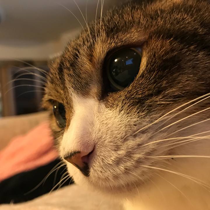 Af093621 a81e 4fb2 9785 ef7d58512d7e 1542435313220