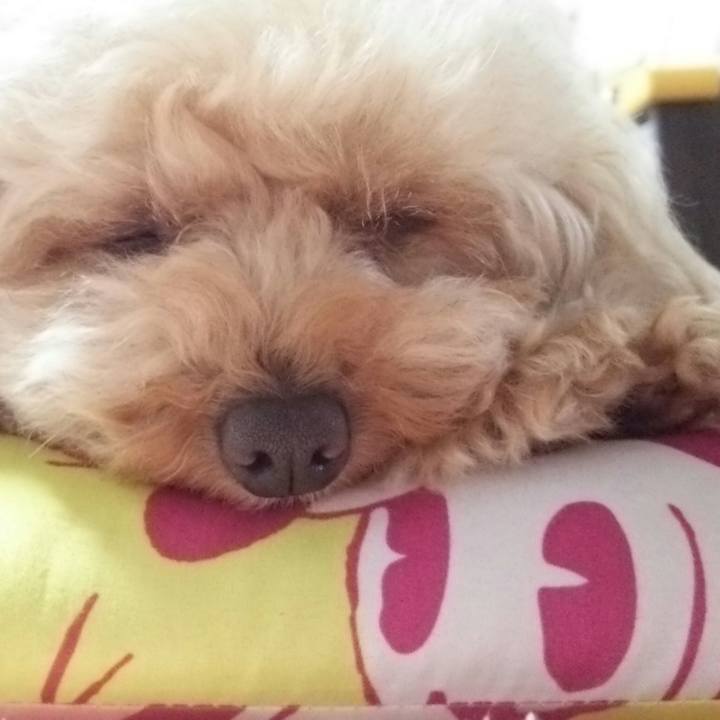 Af09372b 1ae7 45ec 9841 1c17d4a3f634 1560409614780